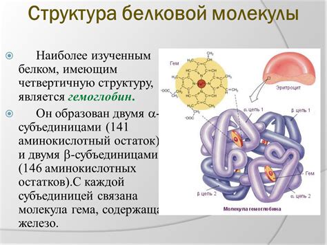 Важность структуры белков и ее изменения