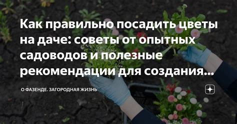 Важные аспекты и полезные рекомендации