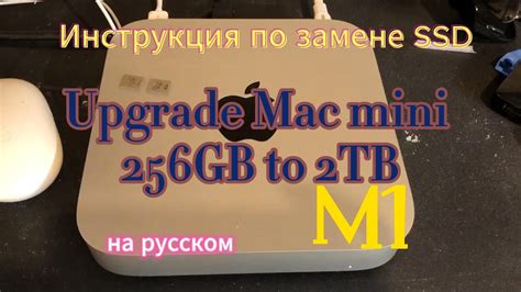 Важные аспекты сохранения данных при замене SSD