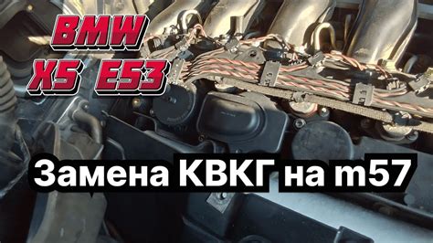 Важные моменты при отключении КВКГ на двигателе BMW M54