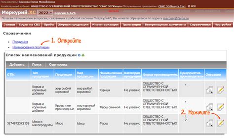 Важные моменты при получении собственного GUID в СБИС