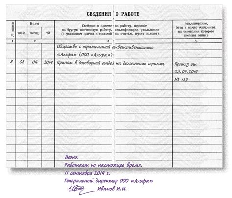 Важные моменты при получении трудовой книжки без опыта работы