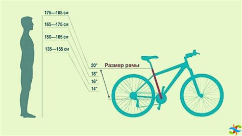 Важные советы для правильного определения ширины обода велосипеда