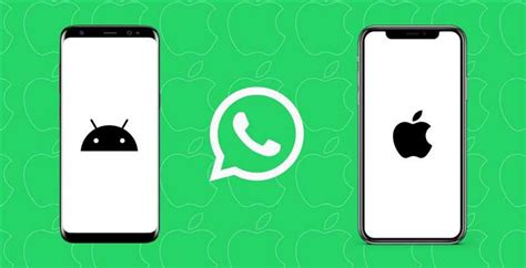 Важные соображения при переносе WhatsApp с iPhone на Android