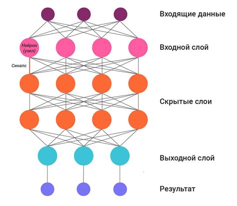 Важные шаги в построении и применении нейронной сети