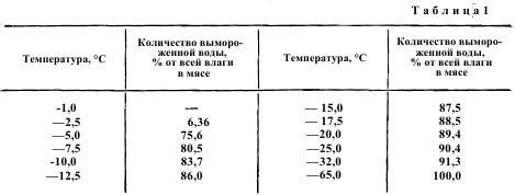 Важные шаги для эффективного процесса замораживания