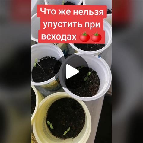 Важные шаги при настройке единорога