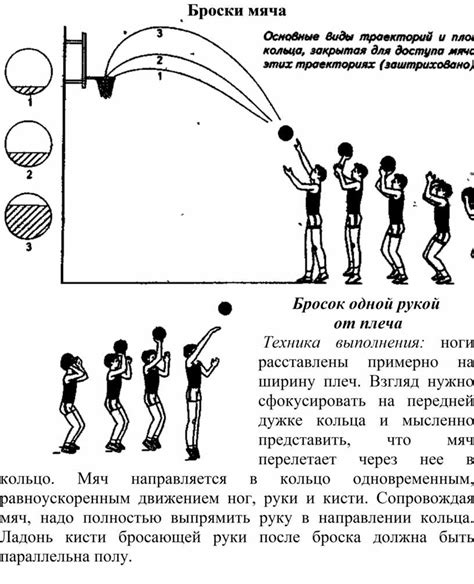 Важные элементы техники брасса