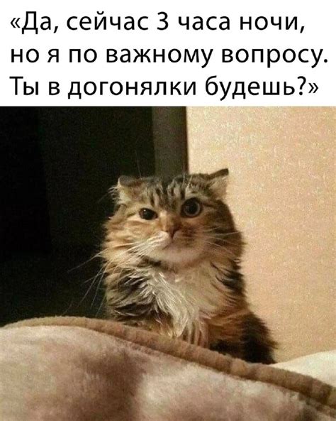 Важный вопрос