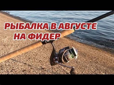 Варианты использования кобры на рыбалке в разных условиях