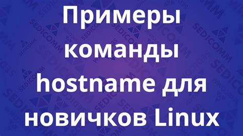 Варианты использования команды hostname