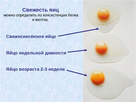 Варианты проверки яиц по вкусу