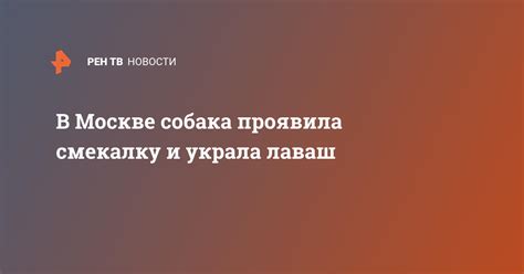 Василиса проявила смекалку