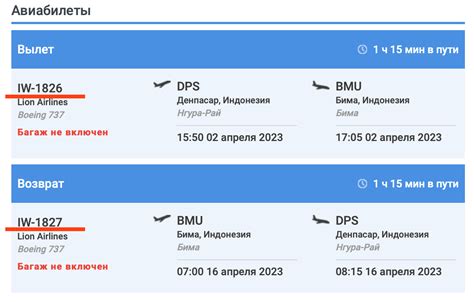 Введите номер рейса для получения информации о самолете