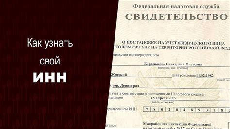 Введите свой ИНН и выполните поиск