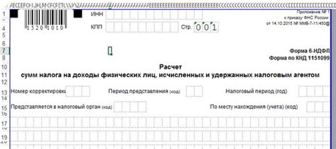 Вводная информация: что такое 6 НДФЛ