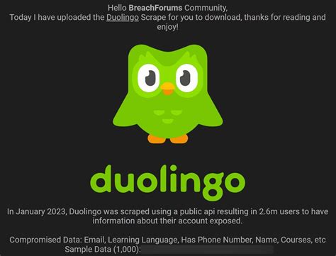 Вводная информация о Duolingo