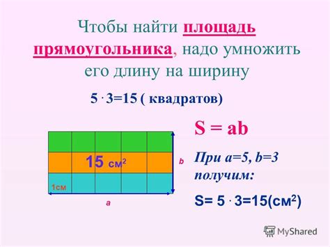 Вводное понятие: что такое площадь