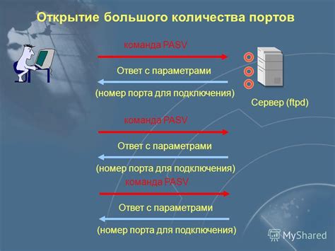 Ввод адреса и порта для Telnet соединения