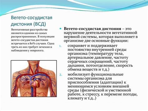 Вегето-сосудистая дистония: причины и симптомы