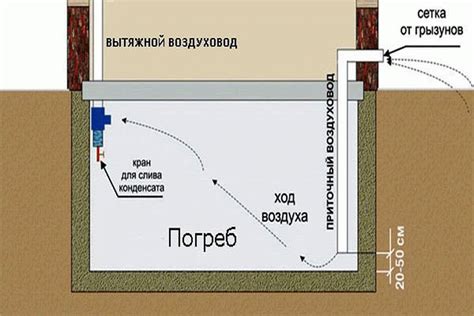 Вентиляция погреба