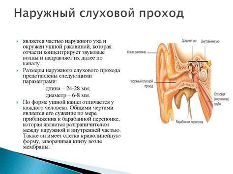 Вероятность вызвать травму наружного слухового канала