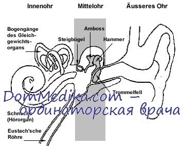 Вестибулярные нарушения: проблемы в ухе