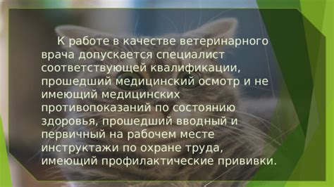 Ветеринарный осмотр и профилактические мероприятия для сохранения здоровья