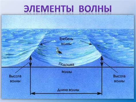 Ветровое движение воды и его влияние на океан