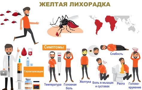 Вечерняя лихорадка: причины, симптомы, лечение