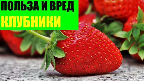 Взаимная польза чеснока и клубники