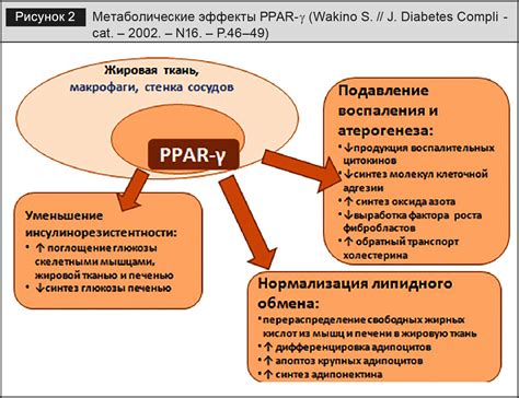 Взаимодействие Сартанов и ИАПФ: почему нельзя их совмещать?