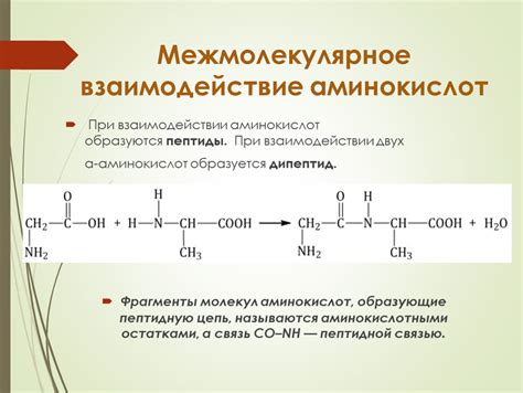 Взаимодействие аминокислот: основные аспекты