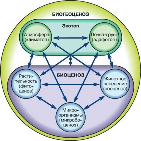 Взаимодействие кислоты и микроорганизмов