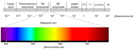 Взаимодействие света и пигментов в глазах