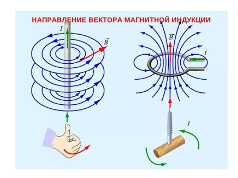 Взаимодействие с магнитной полюсностью