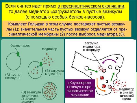 Взаимодействие с рецепторами