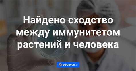 Взаимоотношения между иммунитетом и вирусами: риск порванной целостности