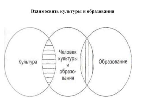 Взаимосвязь культуры и понимания жизни