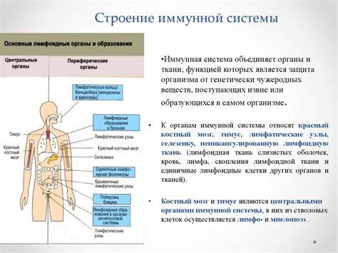 Взаимосвязь повышенной температуры и иммунной системы