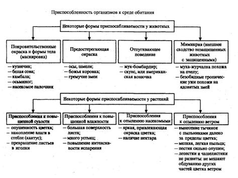 Взаимосвязь приспособленности и организма