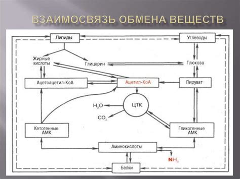 Взаимосвязь сахара и энергии