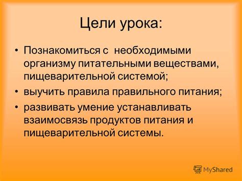 Взаимосвязь с пищеварительной системой