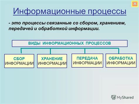 Видение и его важность для обработки информации