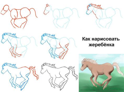 Видеоуроки по рисованию лошади