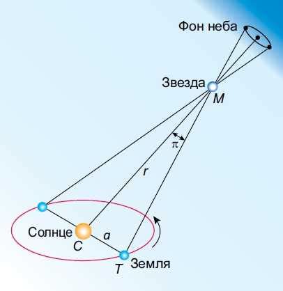 Видимая тюльпа: основы и советы