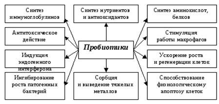 Видовая характеристика