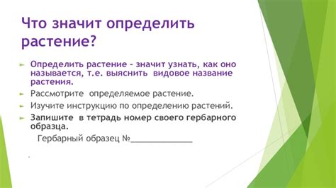 Видовое определение растения