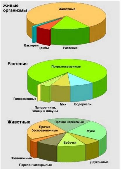 Видовое разнообразие