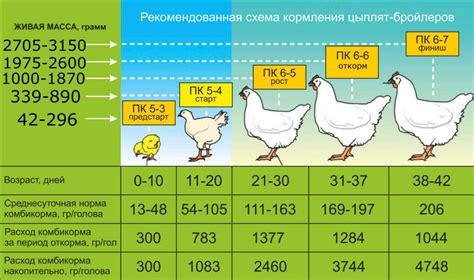 Виды бройлерного комбикорма